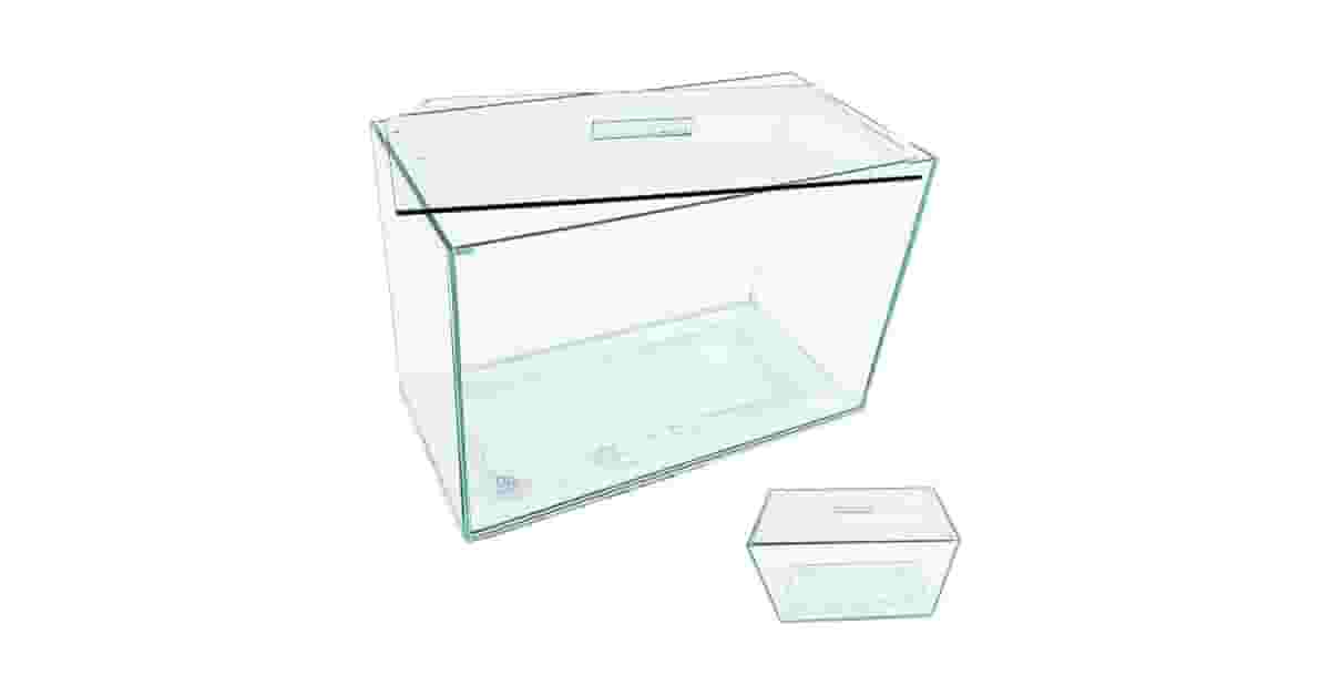 Qual melhor aquario? Tamanho, Formato e Kit Ideal