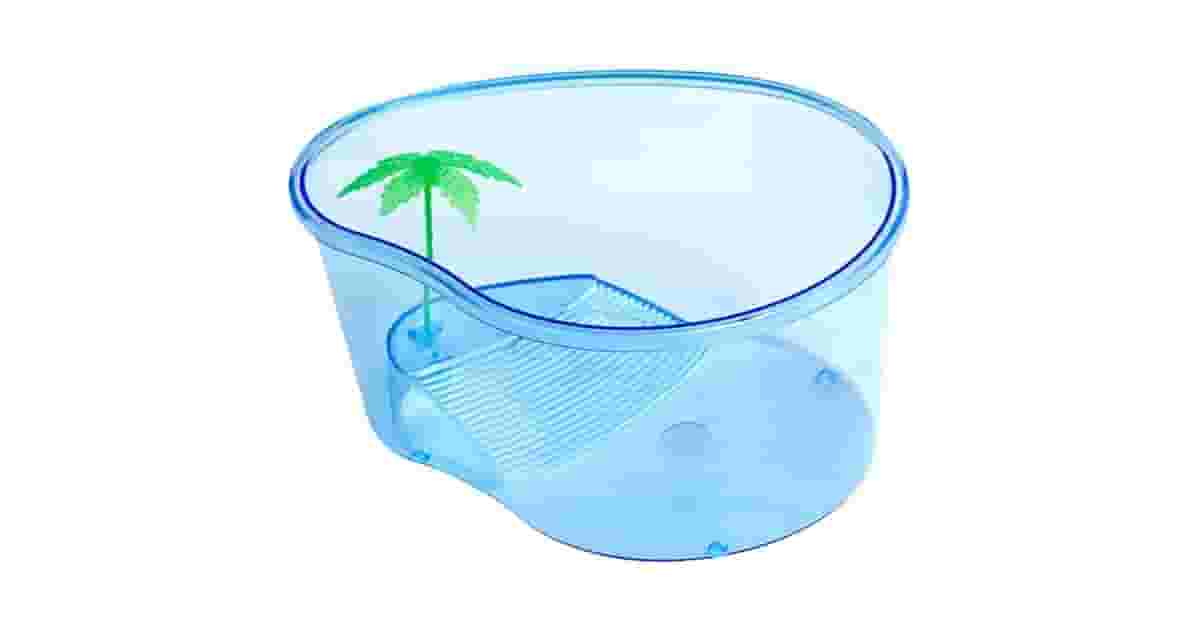 Qual Melhor Aquaterrário? Do Pequeno ao Extra Grande