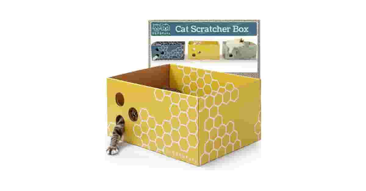 Qual Melhor Arranhador de Papelão Recarregável?