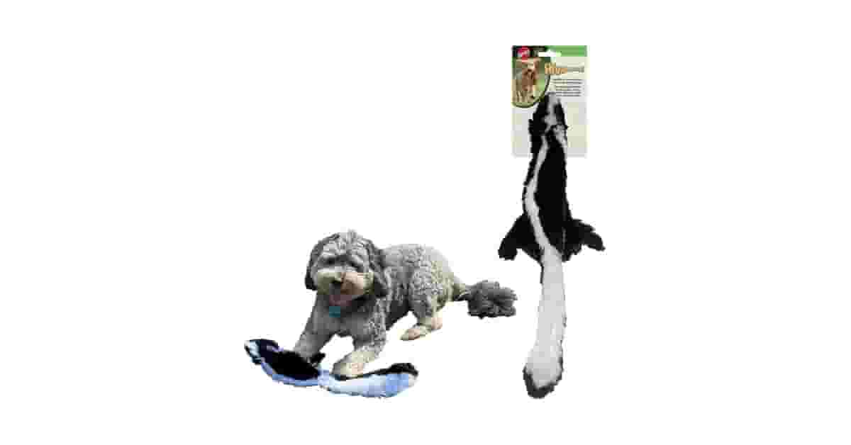 Qual Melhor Brinquedo Para Cães Que Gostam de Fazer Barulho: Análise de 10 Opções