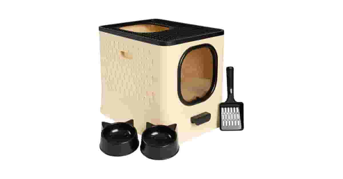 Qual Melhor Caixa de Areia Para Gatos Grandes (Maine Coon)? 7 Modelos com Mais Espaço