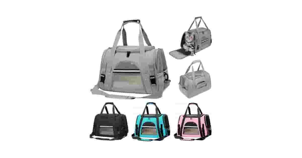 Qual Melhor Caixa de Transporte de Cachorro para Avião?