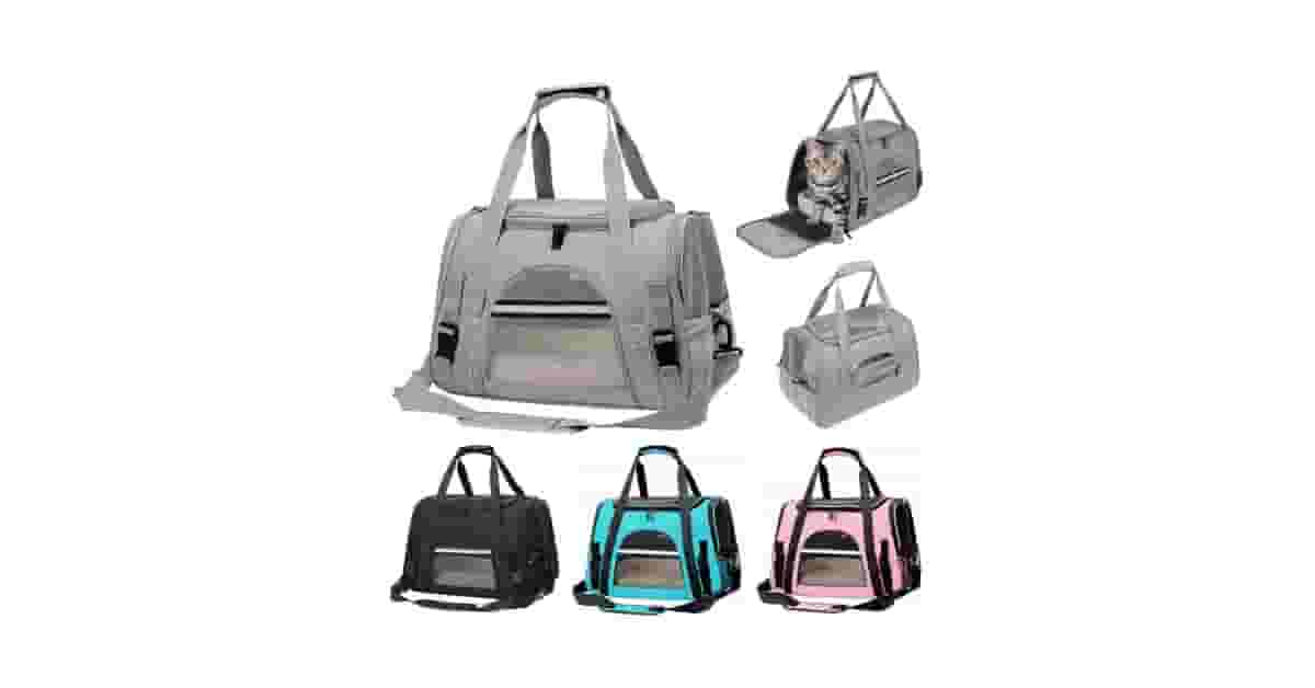 Qual Melhor Caixa de Transporte Para Viagens de Carro