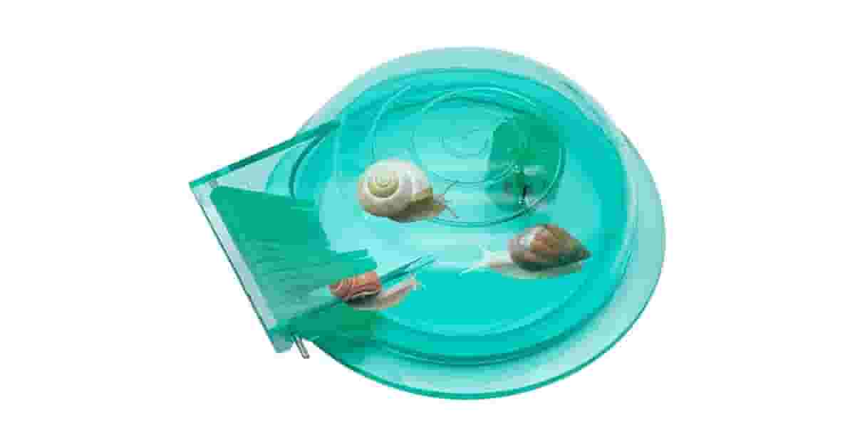 Qual Melhor Caracol Para Limpeza de Aquário e Controle de Pragas