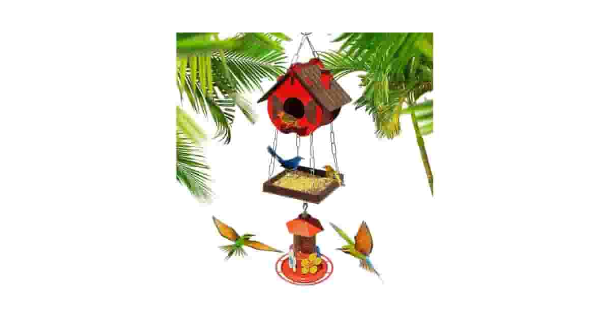 Qual Melhor Casa de Passarinho: Madeira ou Plástico?