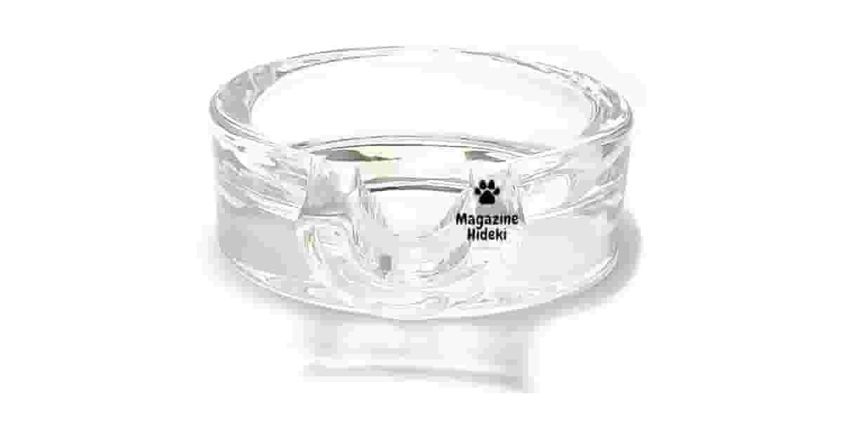 Qual Melhor Cinzeiro de Charuto Para o Seu Estilo?