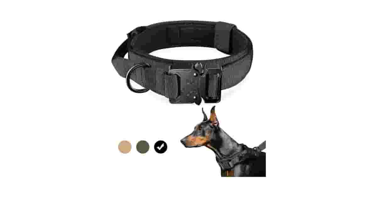 Qual Melhor Coleira Para Cachorro Com Alça de Controle