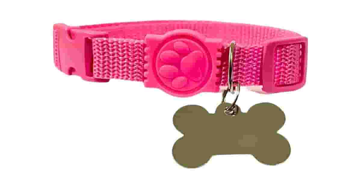 Qual Melhor Coleira Para Cachorro Com Placa Gravada?