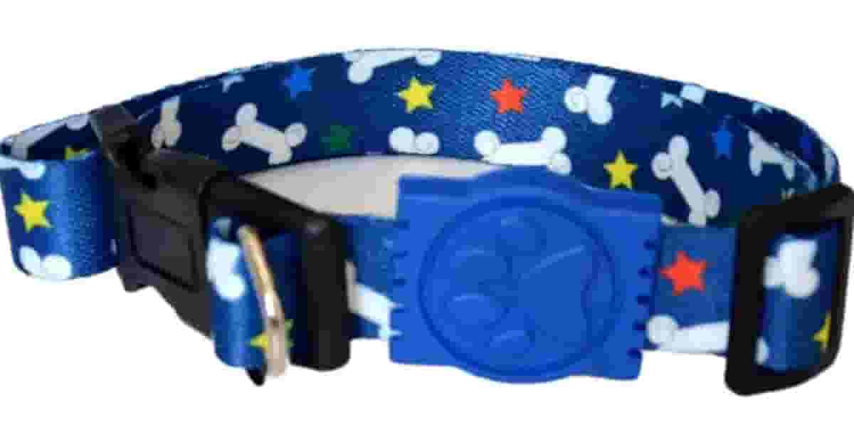 Qual Melhor Coleira Para Cachorro Filhote e Como Usar?