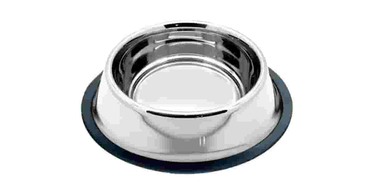 Qual Melhor Comedouro de Inox Para Cachorro? Guia Por Porte