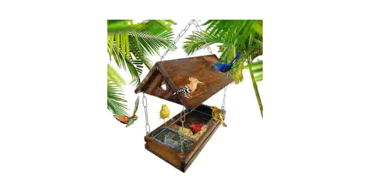Qual Melhor Comedouro Para Pássaros? Guia de Tipos