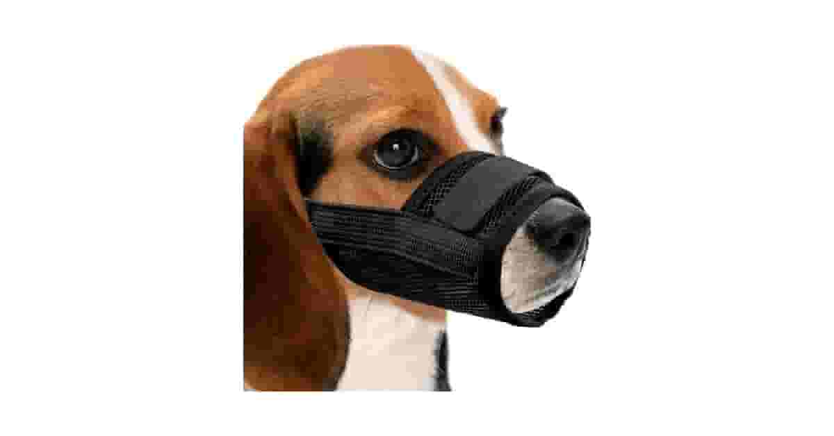 Qual Melhor Focinheira: Cesta, Nylon ou Silicone?