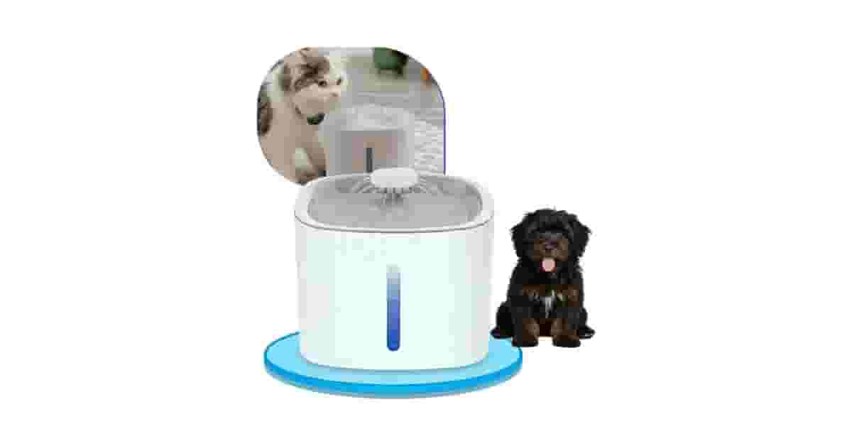 Qual Melhor Fonte Para Gatos com Filtro: Análise de 10