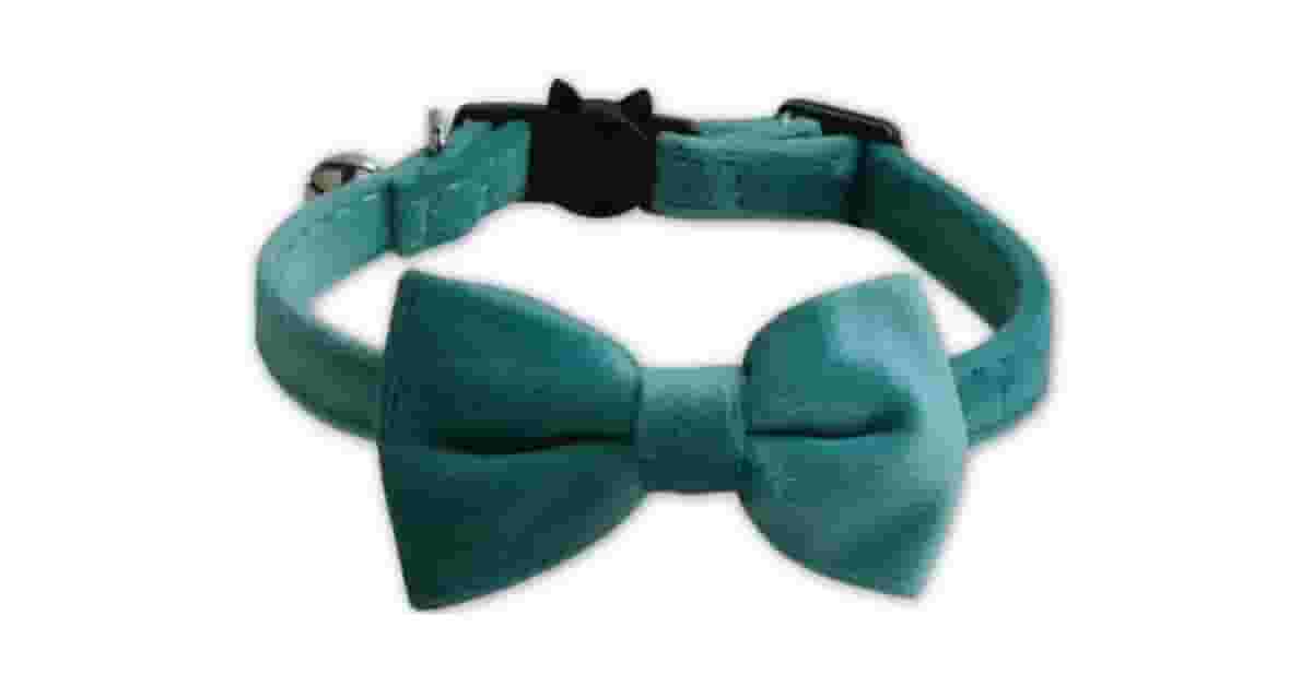 Qual Melhor Gravata Para Pet: Guia de Estilos e Kits