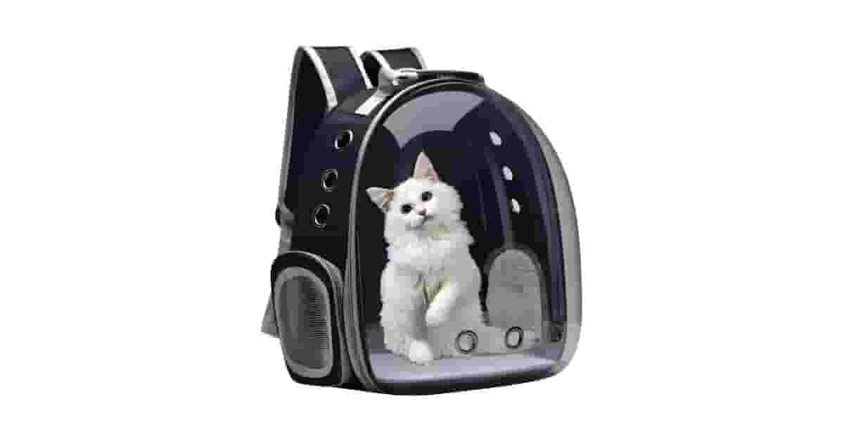 Qual Melhor Mochila Transparente Para Gato Comprar?