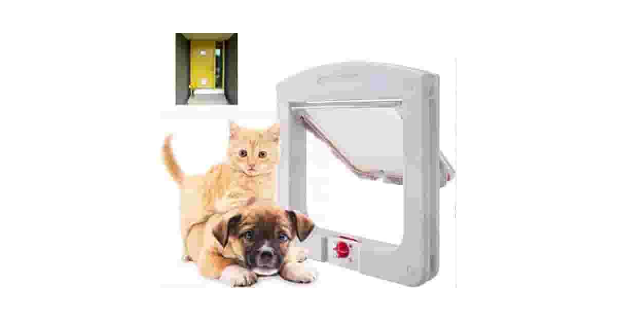 Qual Melhor Porta para Gato para Instalar em Portas?