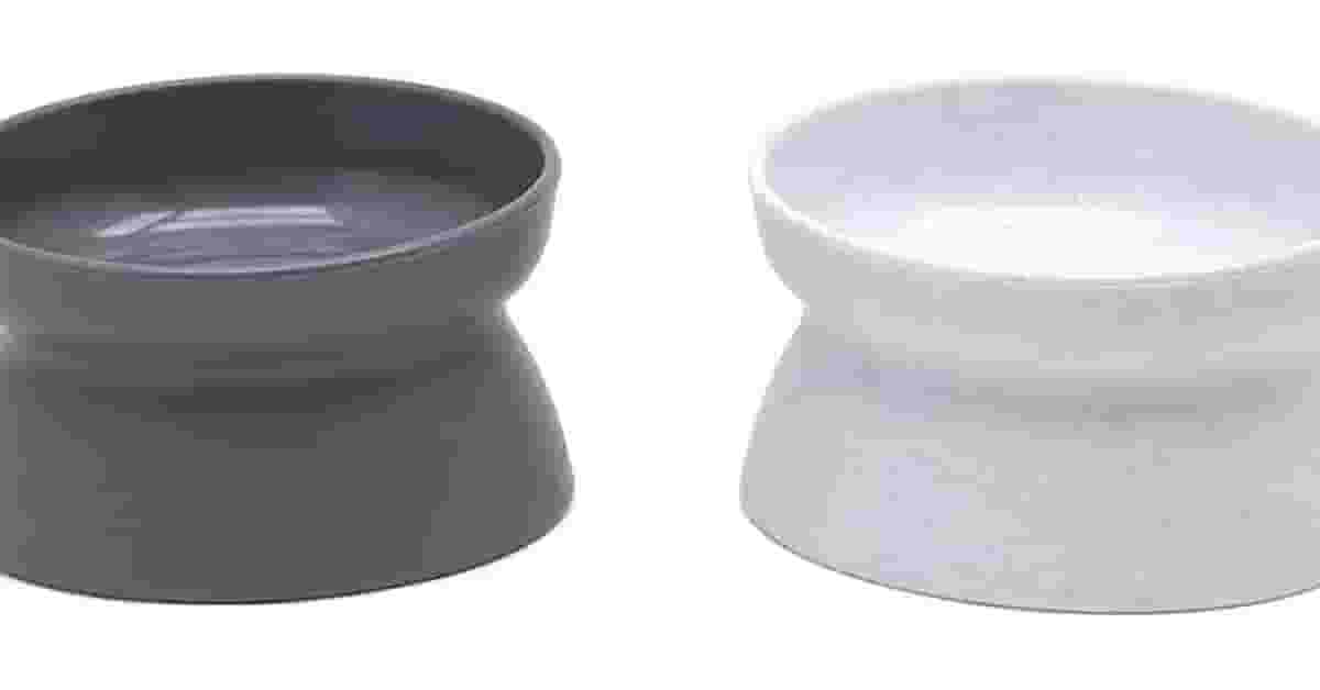 Qual Melhor Vasilha Para Gato: Guia de Saúde Felina