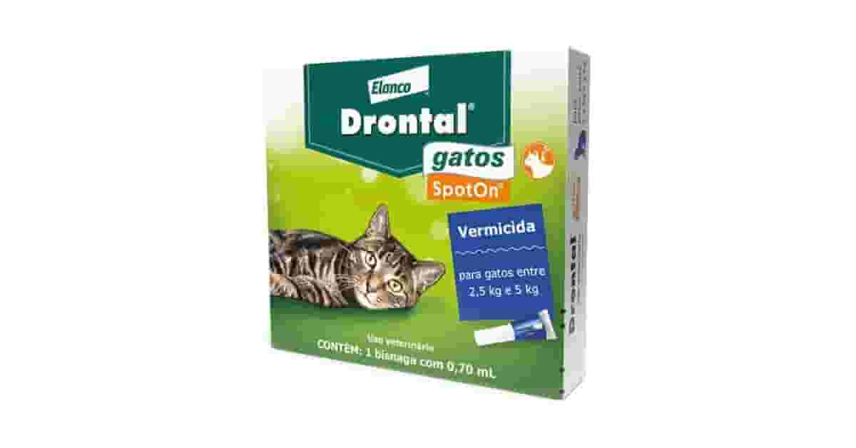 Qual Melhor Vermifugo para Gato: Pipeta ou Pílula?