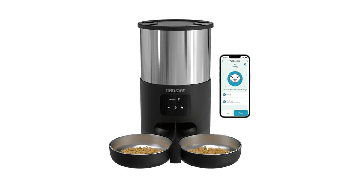 Melhor Alimentador Automático para Gato: 8 Modelos Inteligentes