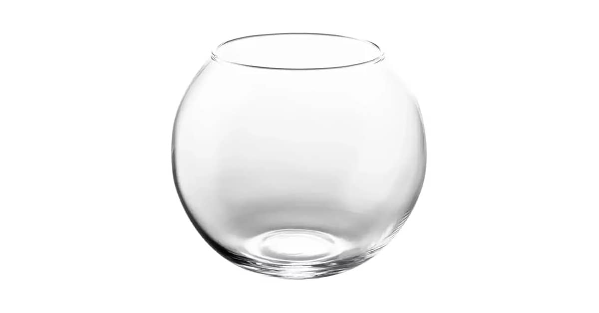 Melhor Aquário para Betta: Guia Completo e Opções Ideais