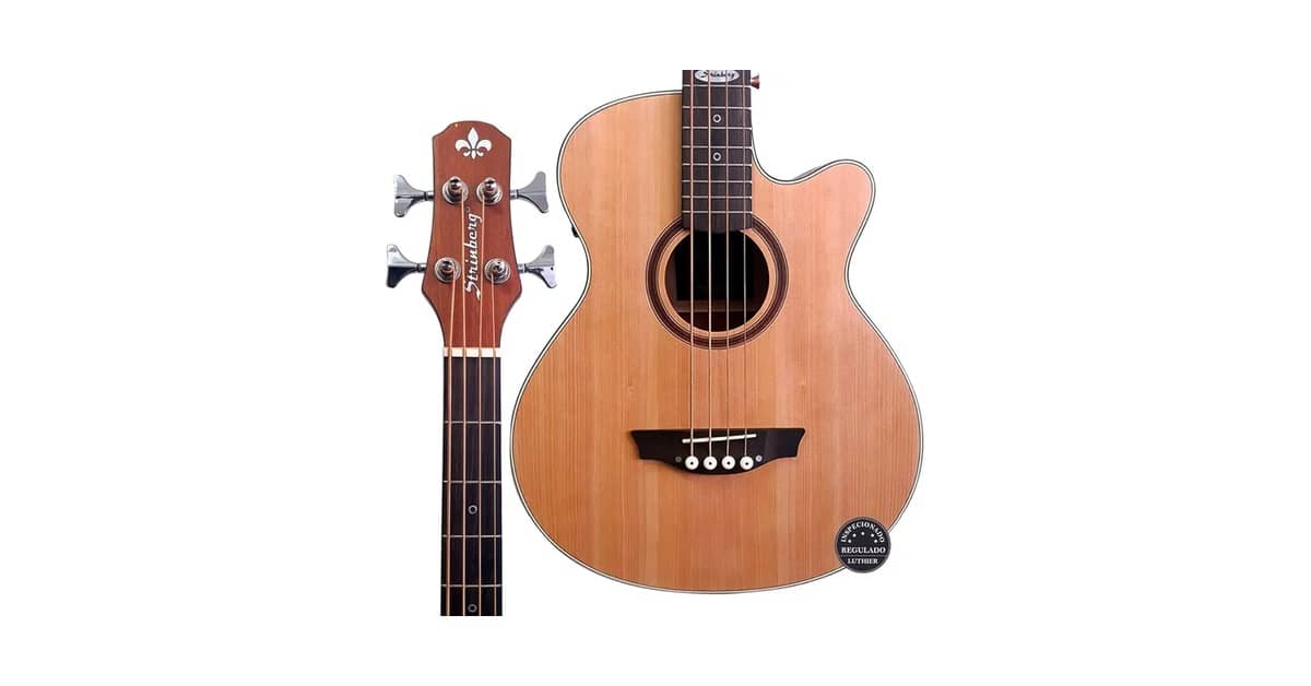 Melhor Baixolão: 4 ou 5 Cordas Para Seu Estilo Musical