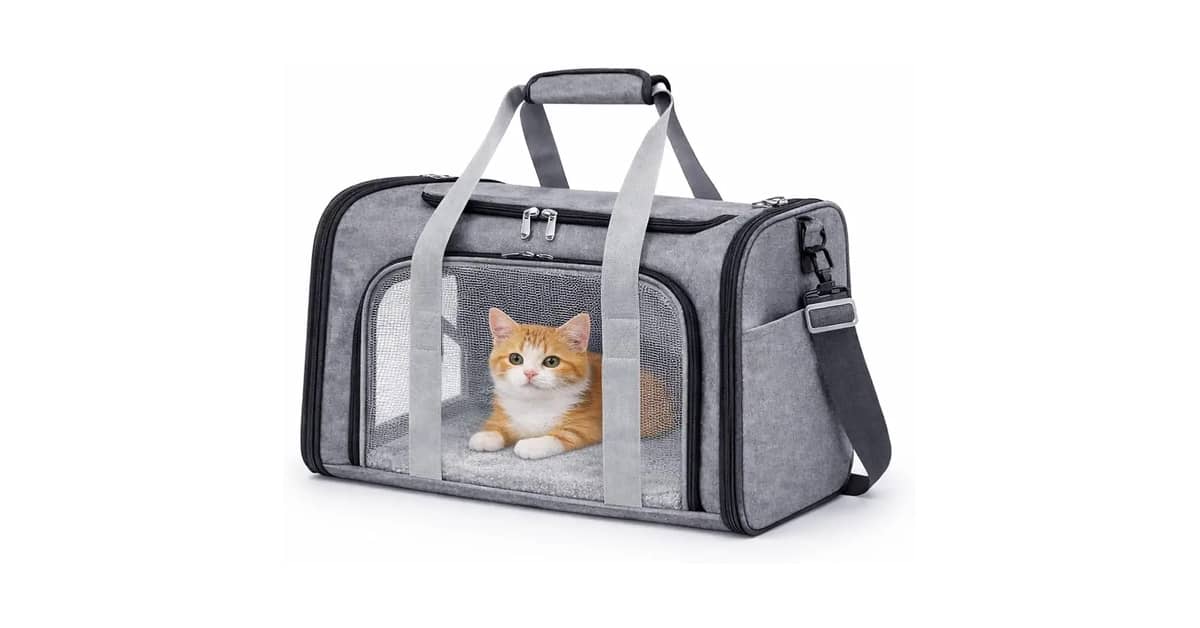 Melhor Bolsa de Transporte para Cão: 7 Modelos Seguros