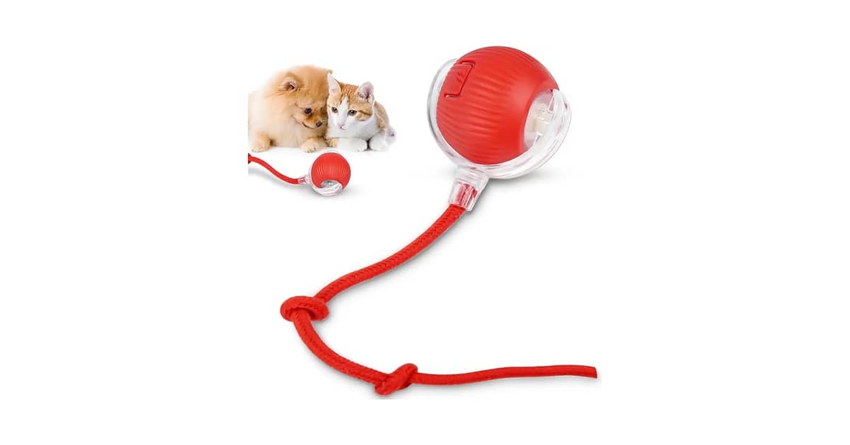 Melhor Brinquedo de Gato: 10 Modelos para Estimulação