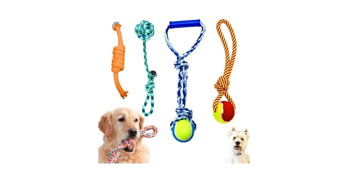 Melhor Brinquedo para Filhote Morder: Guia Definitivo!