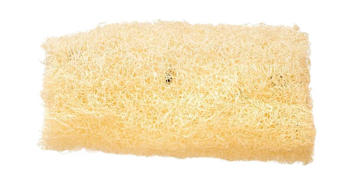 Melhor Bucha de Banho: Guia Completo Para Uma Pele Radiante