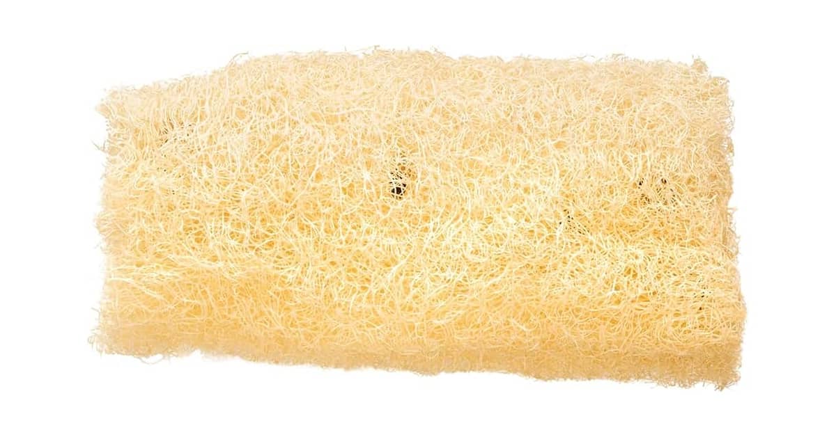 Melhor Bucha para Tomar Banho: Guia Completo!
