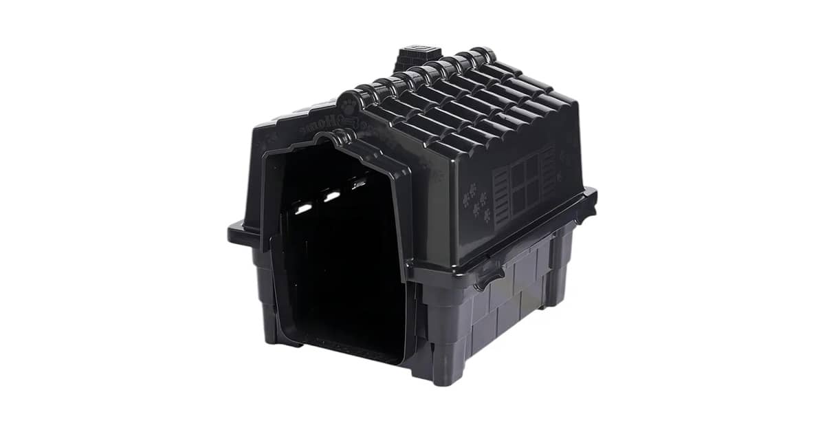 Melhor Cachorro para Casa Pequena: Guia Definitivo