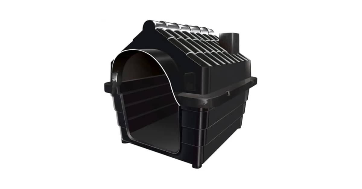 Melhor Cachorro para Criar em Casa: Guia Essencial