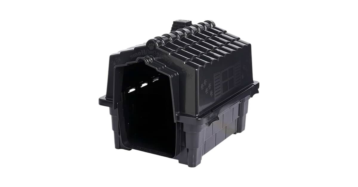 Melhor Cachorro para ter em Casa: Guia Essencial