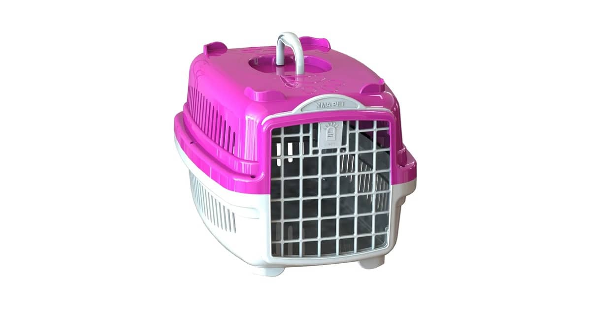 Melhor Caixa de Transporte para Gatos: Guia Completo