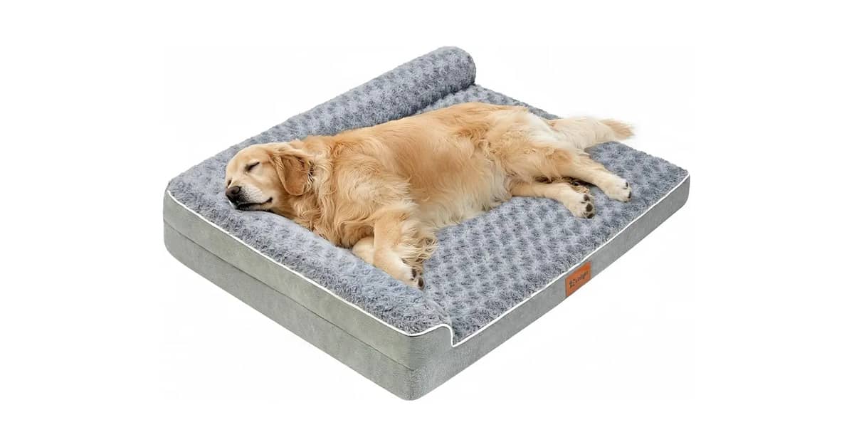 Melhor Cama para Cachorro Idoso: Conforto Ortopédico