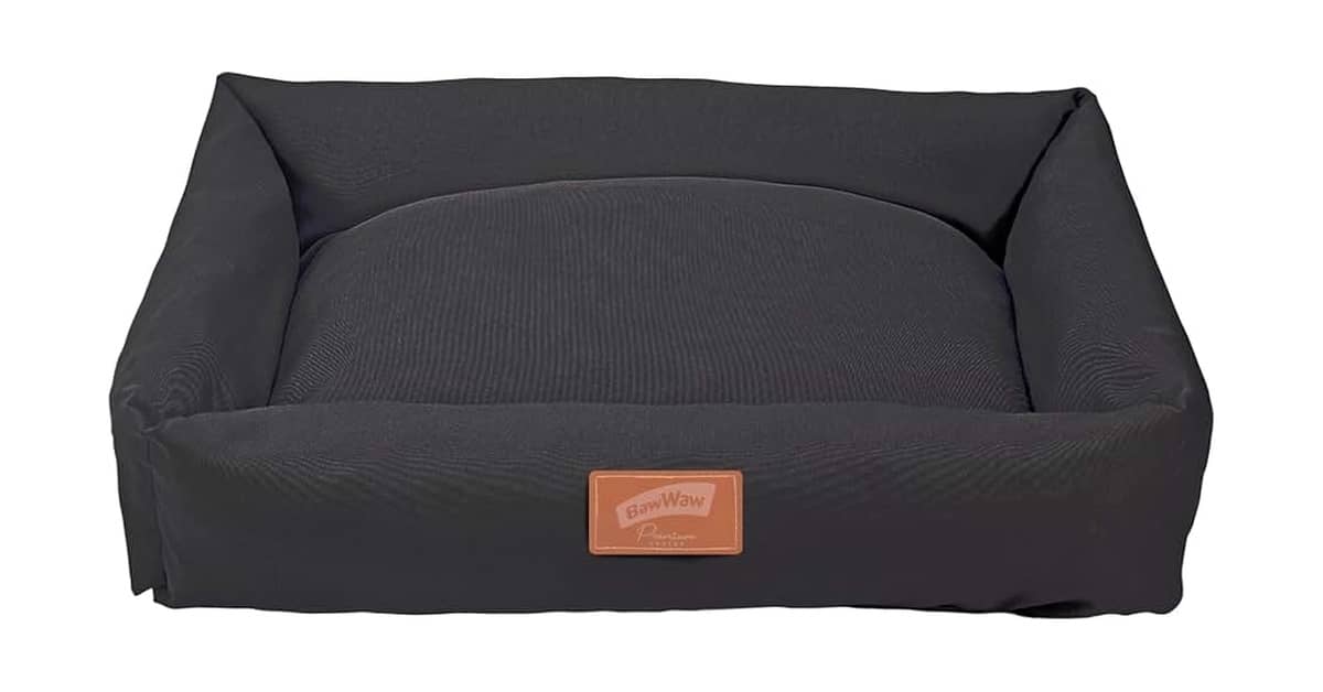 Melhor Cama para Cachorro: 10 Modelos com Alta Durabilidade