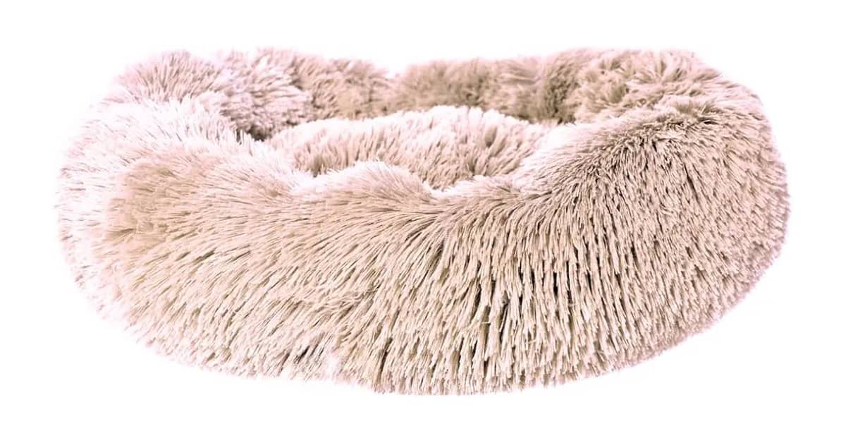 Melhor Cama para Gato: 10 Modelos para Conforto