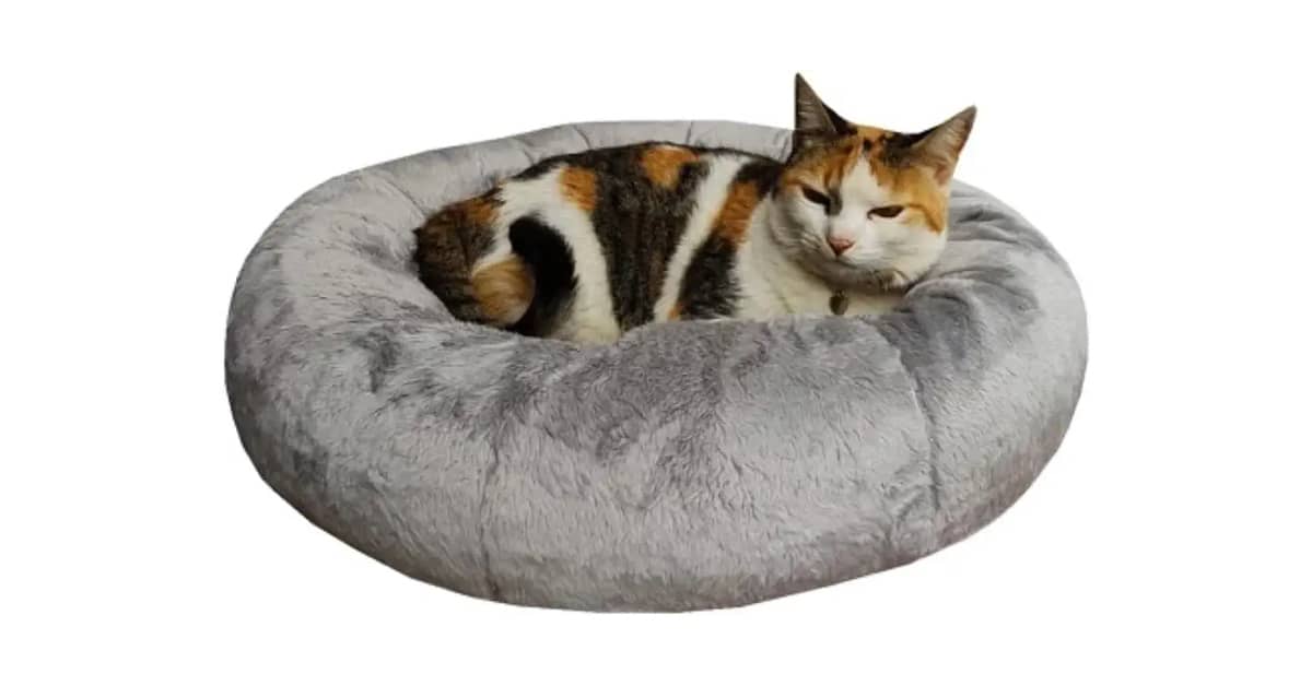 Melhor Cama para Gatos: Conforto e Segurança Garantidos