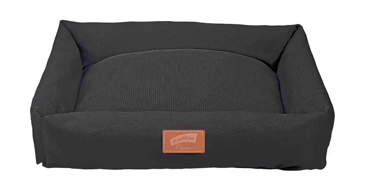Melhor Cama para Pet: Conforto e Durabilidade
