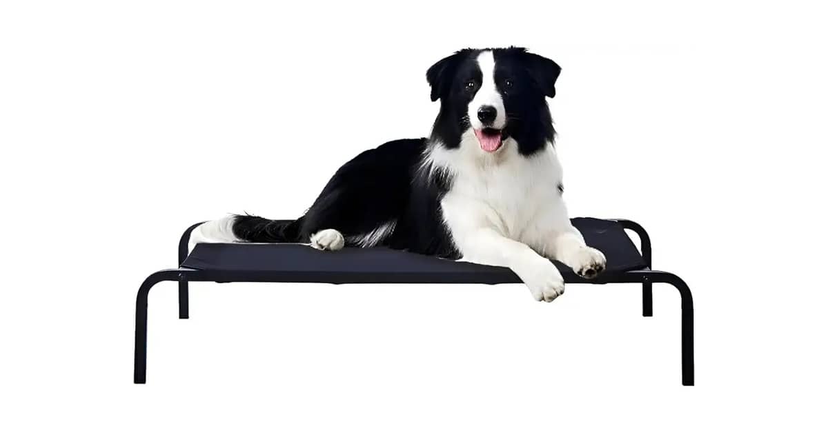 Melhor Cama Suspensa para Cachorro: Conforto e Durabilidade