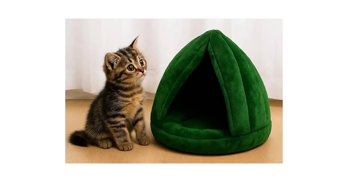 Melhor Caminha para Yorkshire: Conforto e Segurança