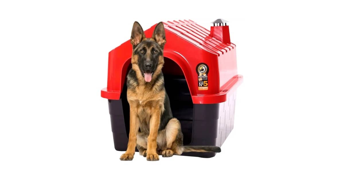 Melhor Casinha para Cachorrinho: 10 Modelos Duráveis