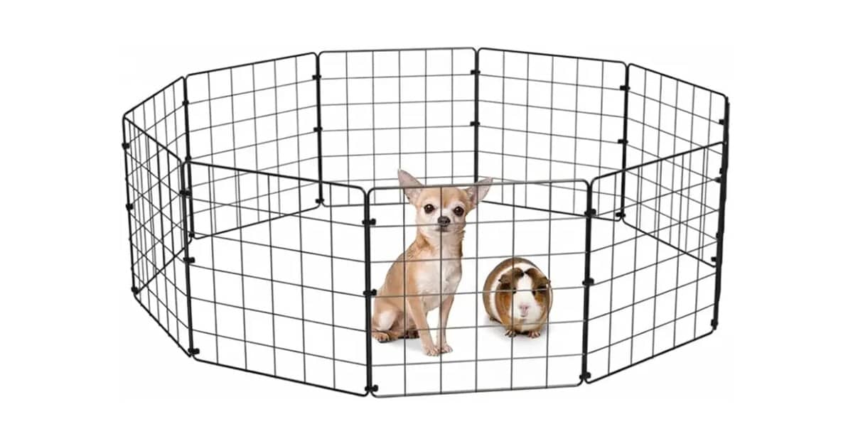 Melhor Cercadinho para Cachorro: Guia Prático