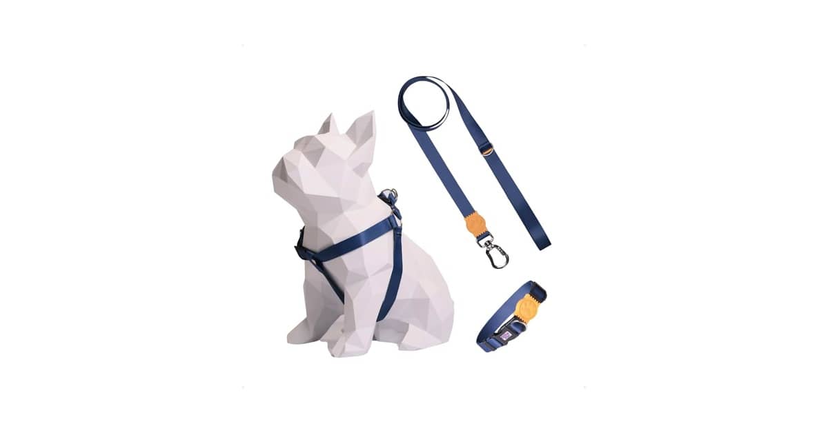 Melhor Coleira para Cachorro Salsicha: Guia Essencial