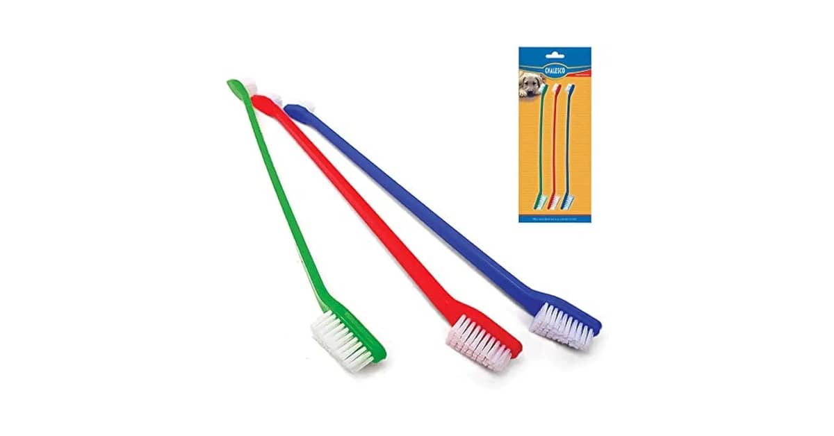 Melhor Escova de Dente para Cachorro: Guia Essencial