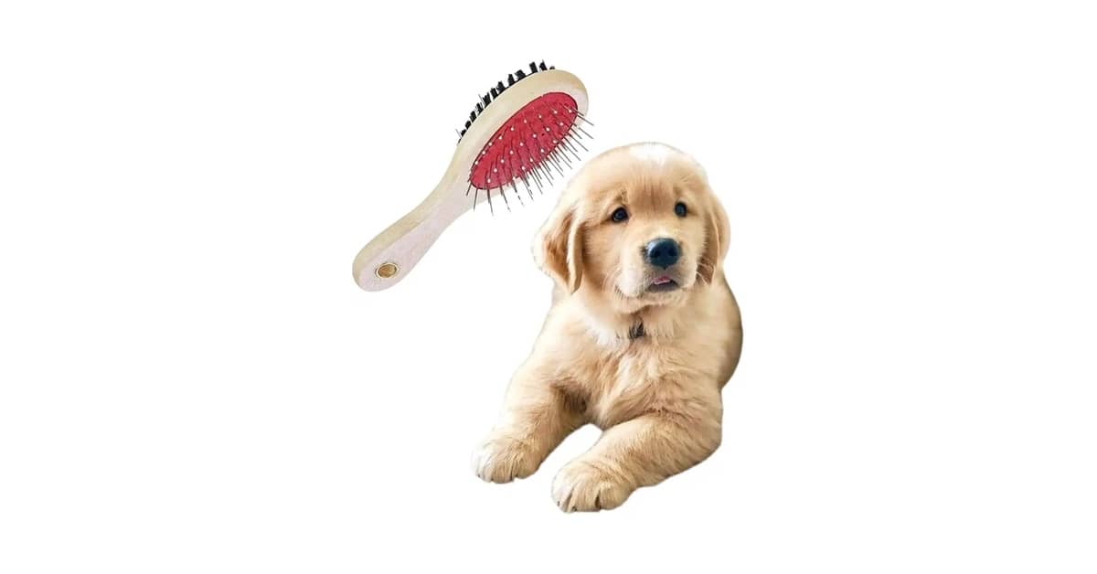Melhor Escova para desembaraçar Pelo de Cachorro: Guia Definitivo