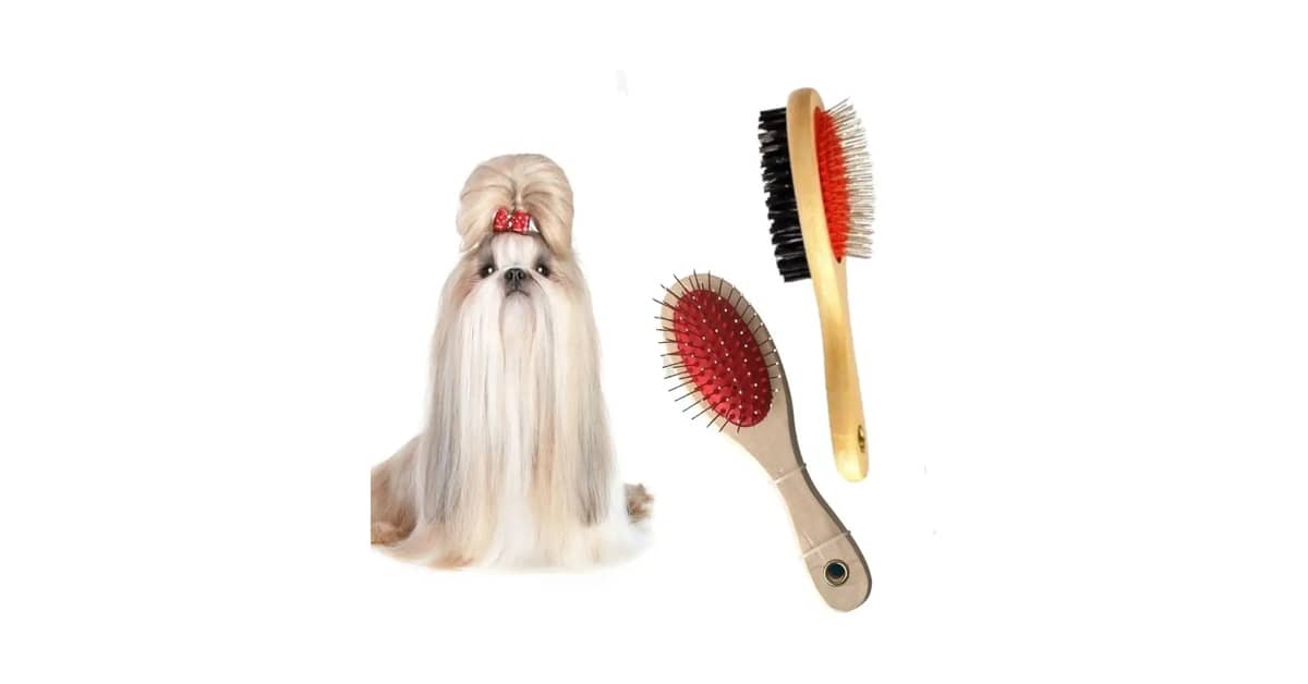 Melhor Escova para desembolar Pelo de Cachorro: Guia Completo