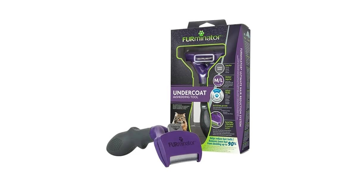 Melhor Escova para Gatos Pelo Longo: Guia de Compra Essencial