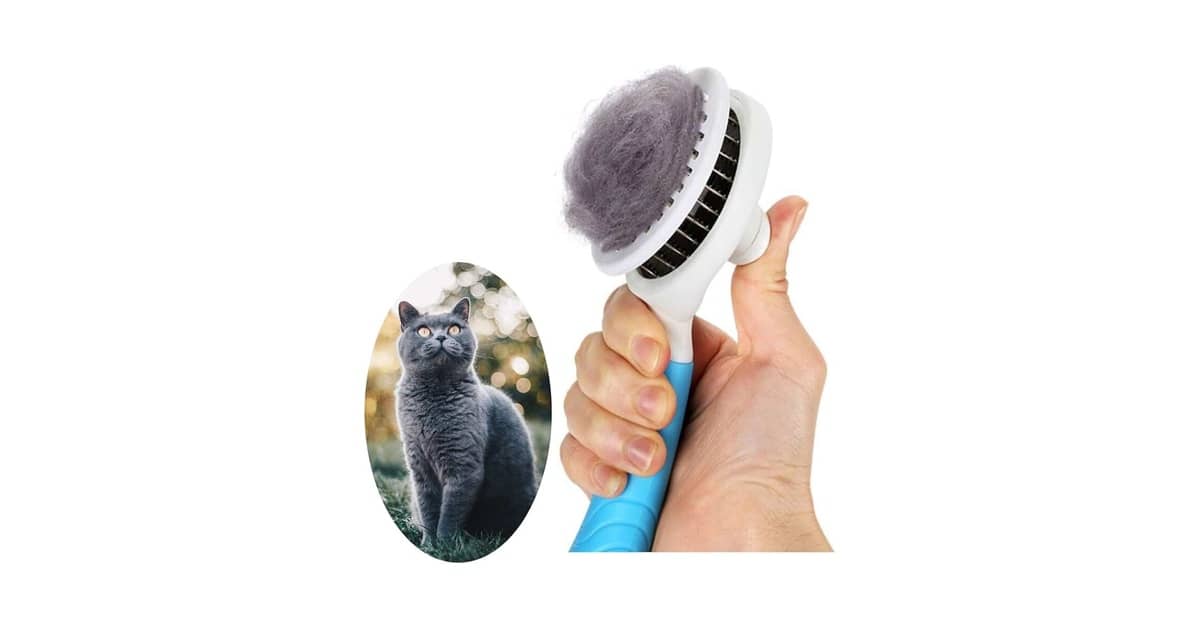 Melhor Escova para Pentear Gatos: Guia Essencial