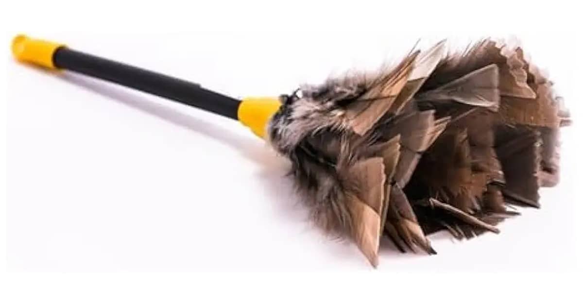 Melhor Espanador para Livros: Guia Definitivo 2024